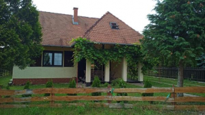 DOM LETNISKOWY NAD JEZIOREM Łódż wiosłowa i kajak Giżycko, Wilkasy